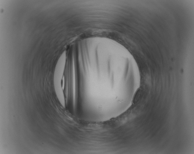 X0000081460914200702092311