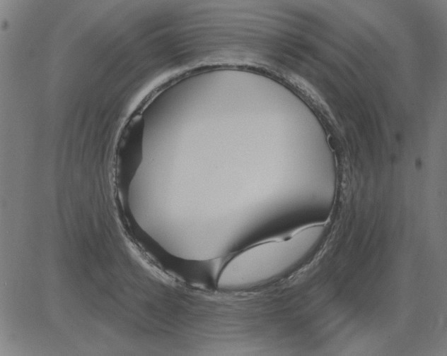 X0000081460942200702092311