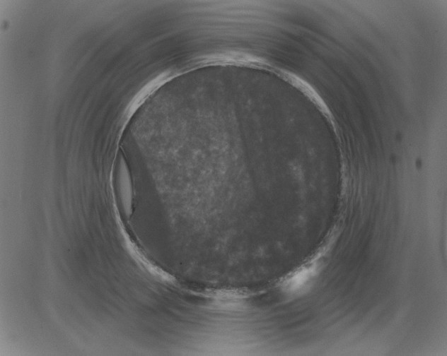 X0000081460946200702092311