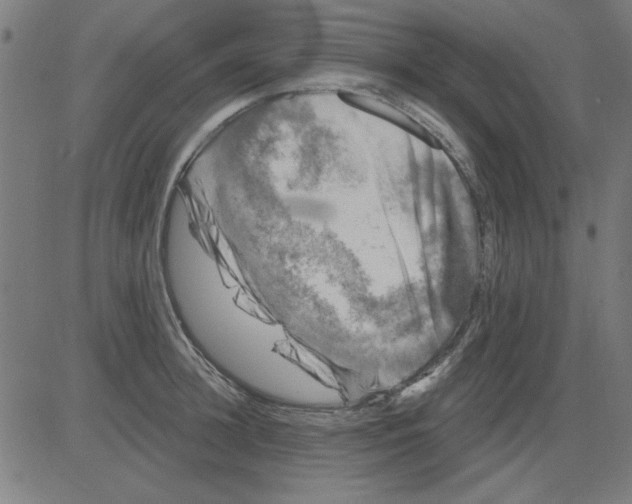 X0000081460948200702092311