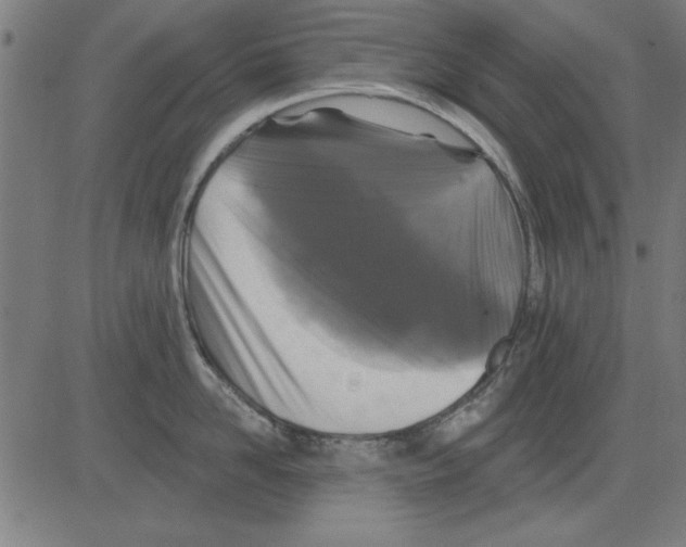 X0000081460958200702092311