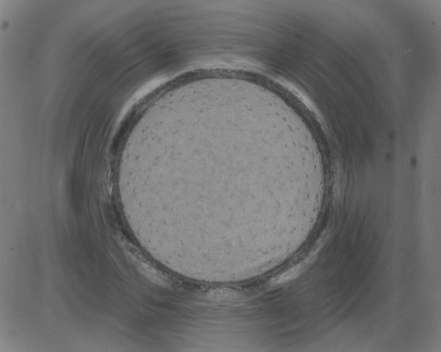 X0000081460974200702092311