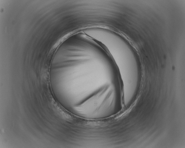 X0000081460985200702092310
