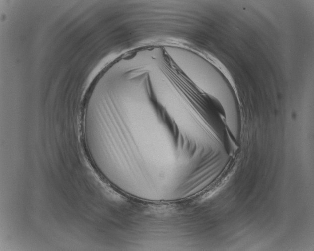 X0000081460997200702092310