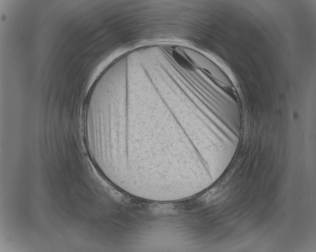 X0000081461006200702092310