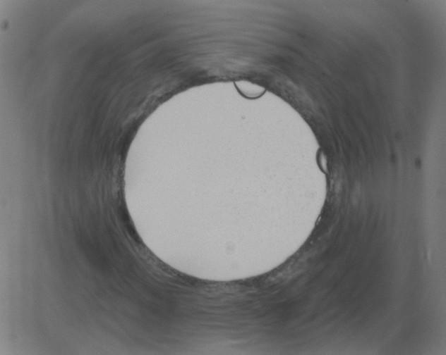 X0000081461012200702092309