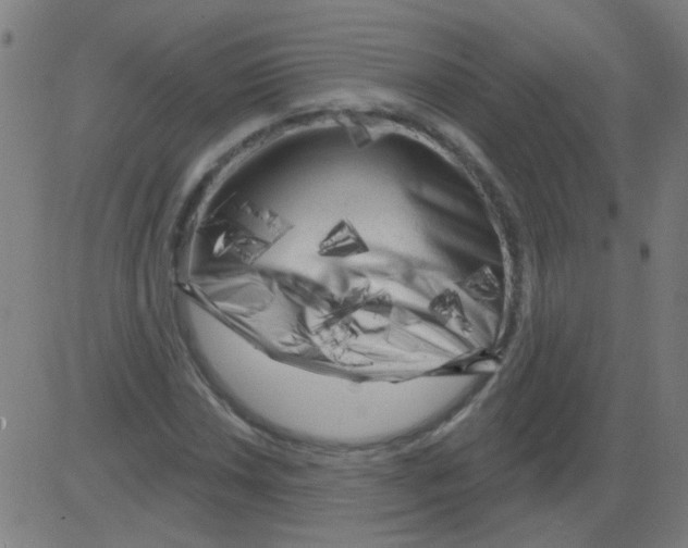 X0000081461018200702092309
