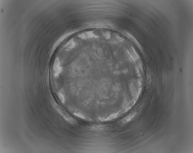 X0000081461035200702092310