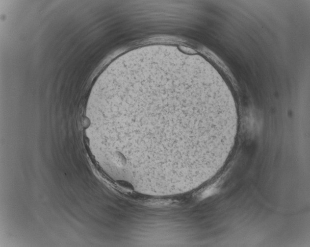 X0000081461049200702092310
