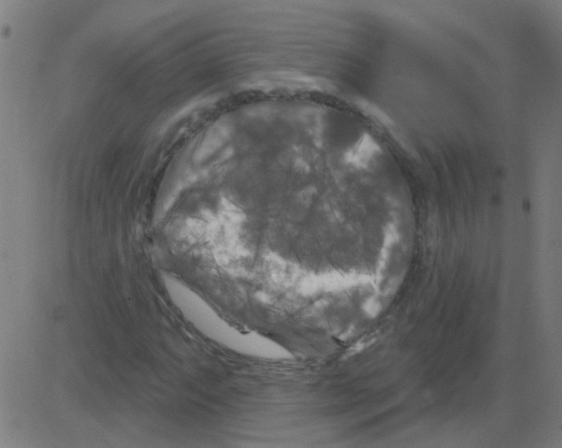 X0000081461063200702092309
