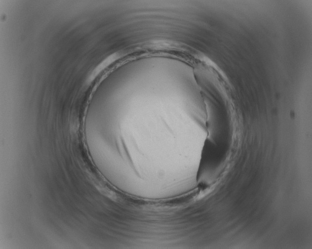 X0000081461065200702092309