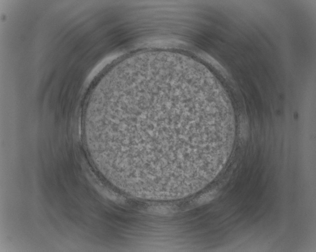 X0000081461078200702092309