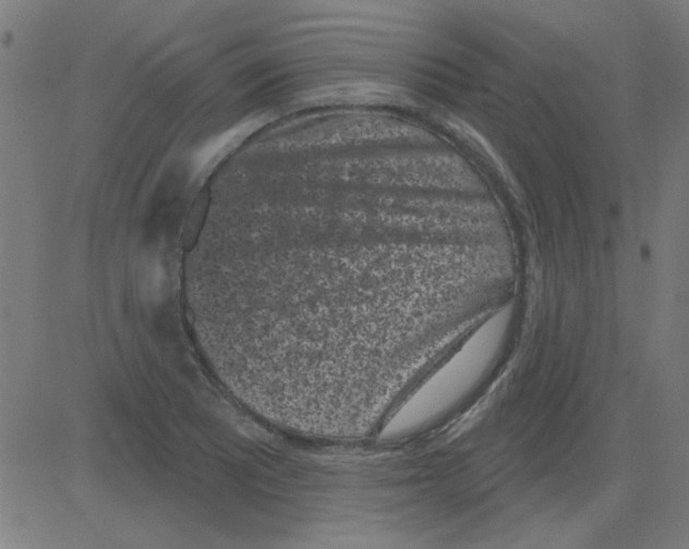 X0000081461081200702092309