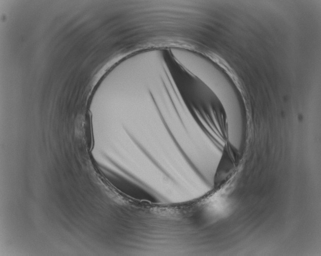 X0000081461089200702092309