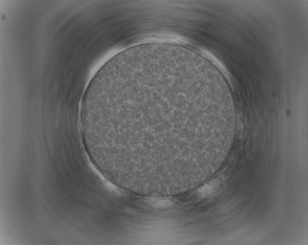 X0000081461103200702092308