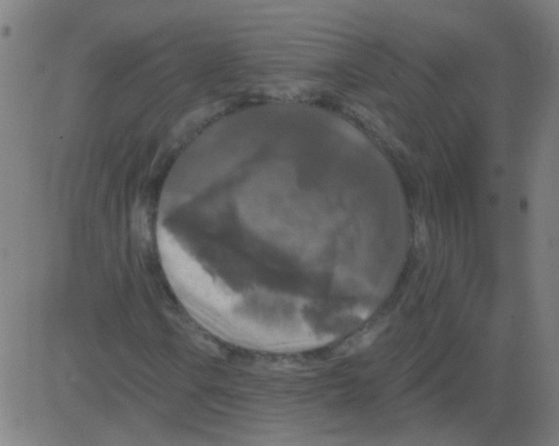 X0000081461106200702092308