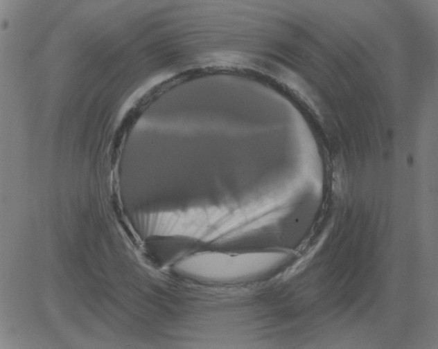 X0000081461117200702092308