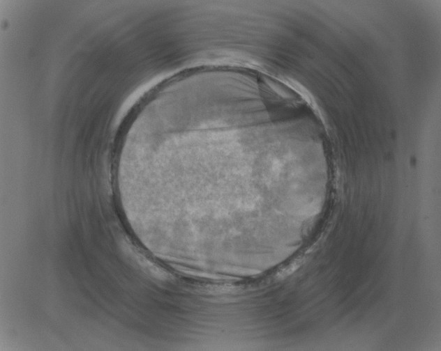 X0000081461120200702092308