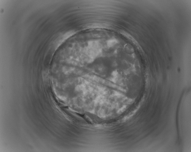 X0000081461121200702092308