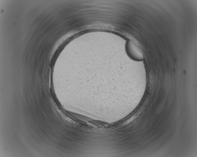 X0000081461123200702092308