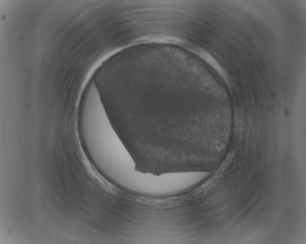X0000081461132200702092308