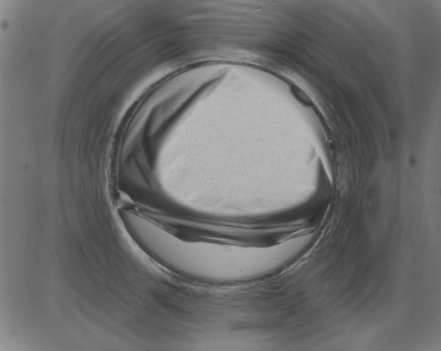 X0000081461139200702092308