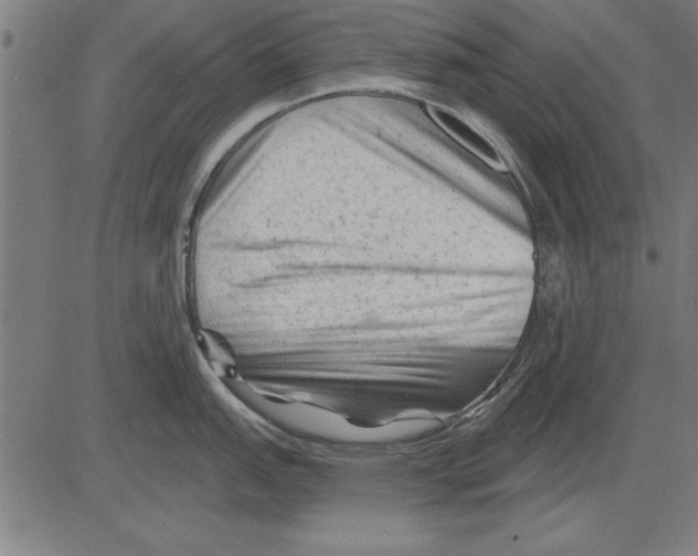 X0000081461151200702092308
