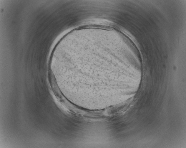 X0000081461152200702092308