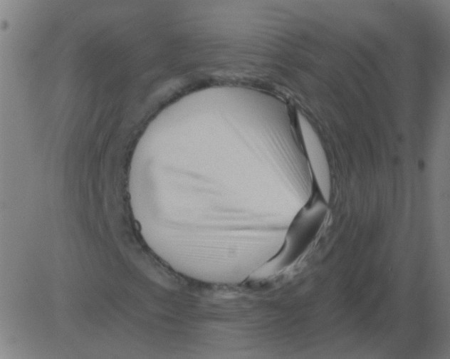 X0000081461153200702092308