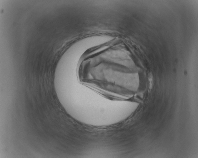 X0000081461157200702092308