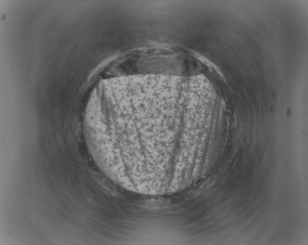 X0000081461160200702092307