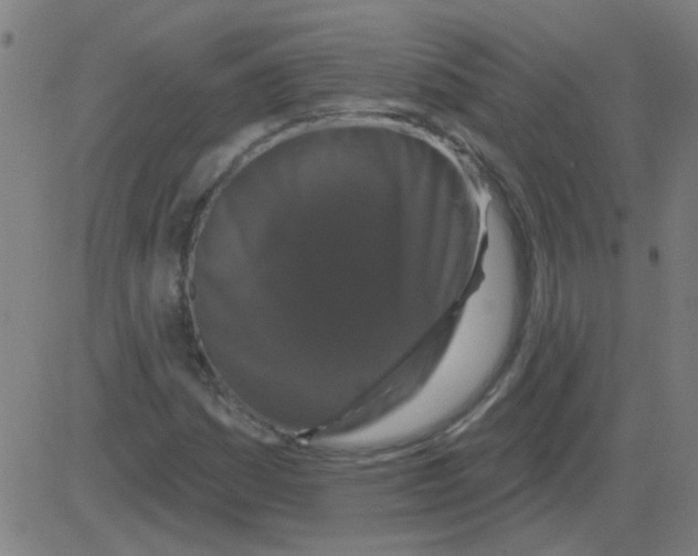X0000081461161200702092307