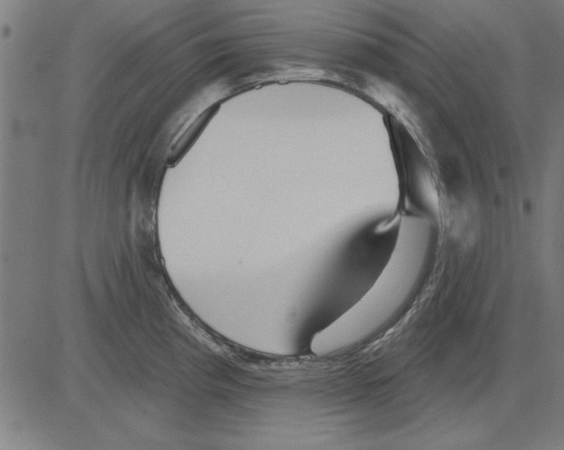 X0000081461193200702092307