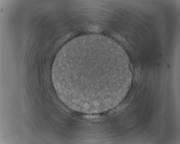 X0000081461201200702092306