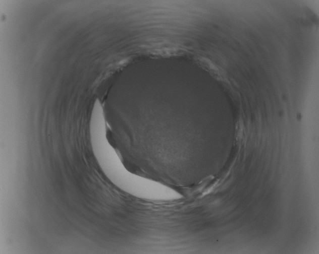 X0000081461202200702092306