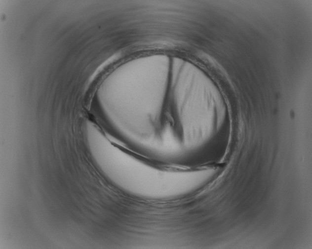 X0000081461210200702092306