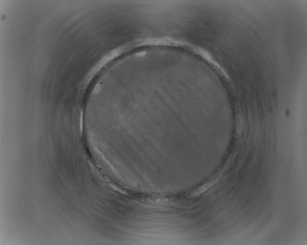 X0000081461221200702092306