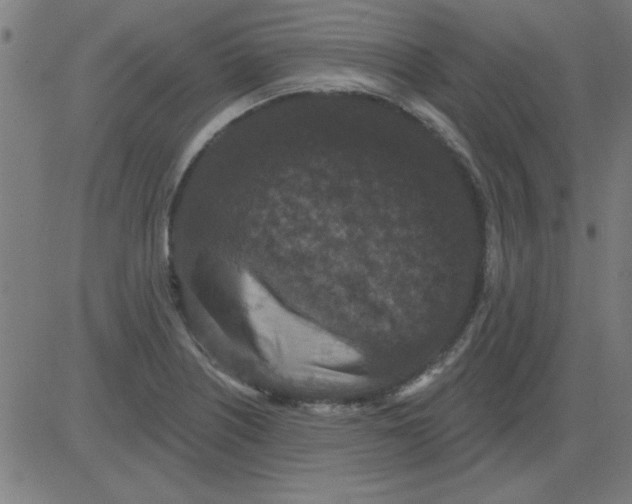 X0000081461226200702092306