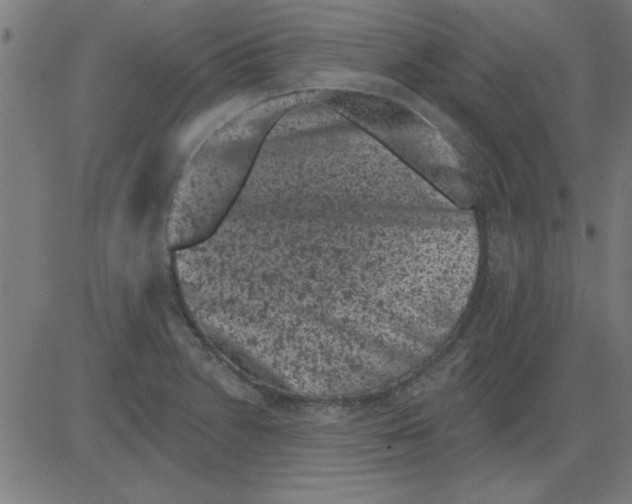 X0000081461230200702092307