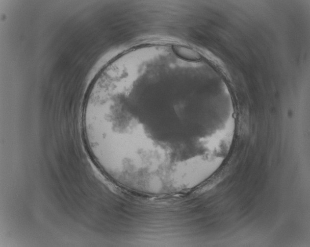 X0000081461231200702092307