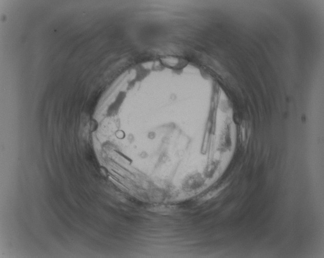 X0000081461251200702092306