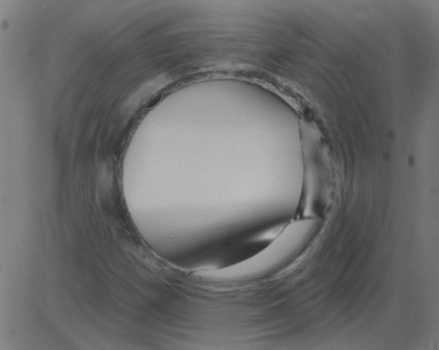 X0000081461257200702092306