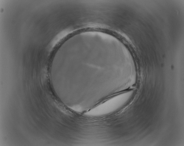 X0000081461263200702092306