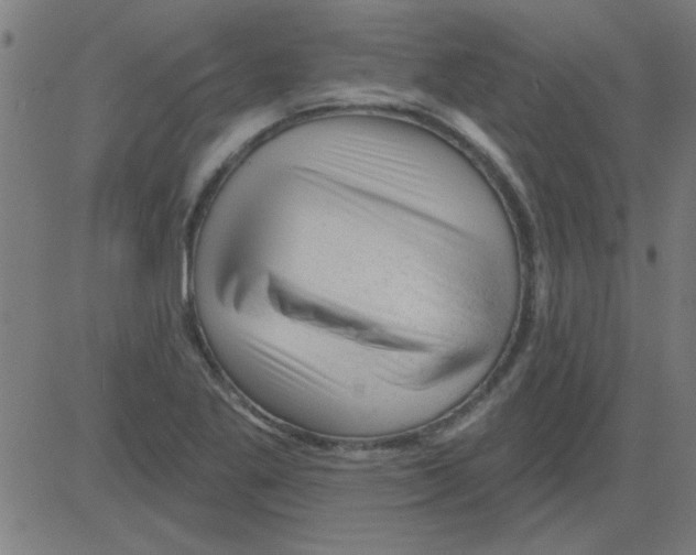 X0000081461269200702092306