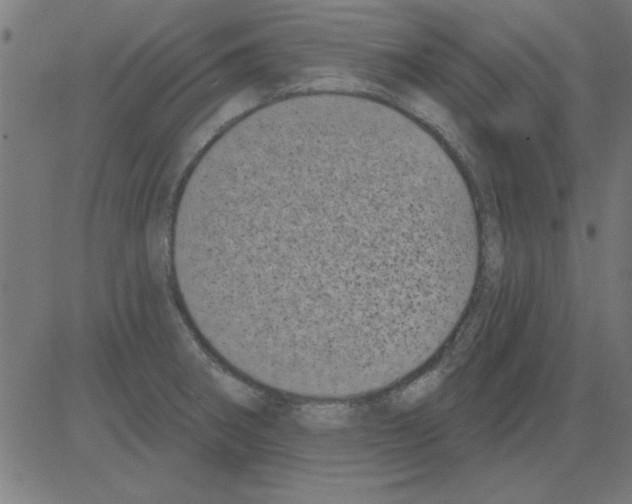 X0000081461282200702092305