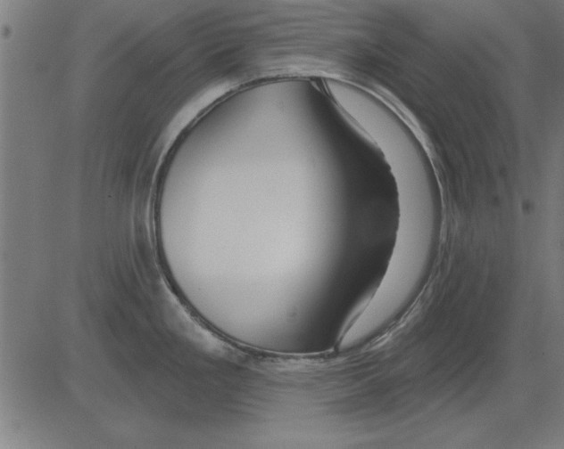 X0000081461293200702092305