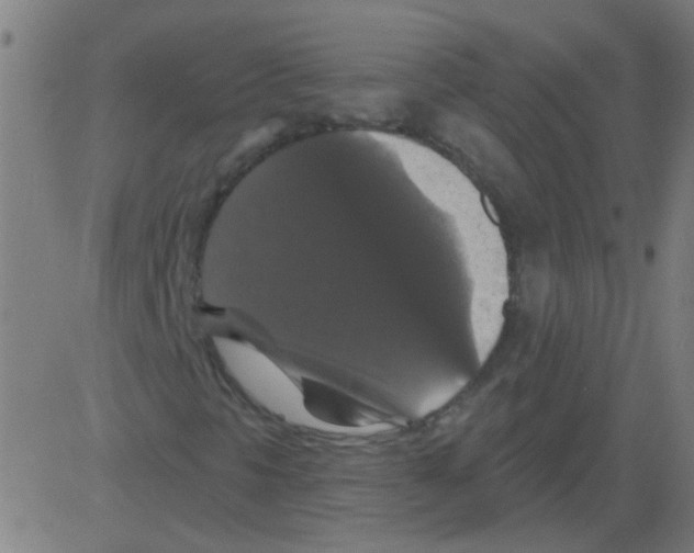 X0000081461297200702092304