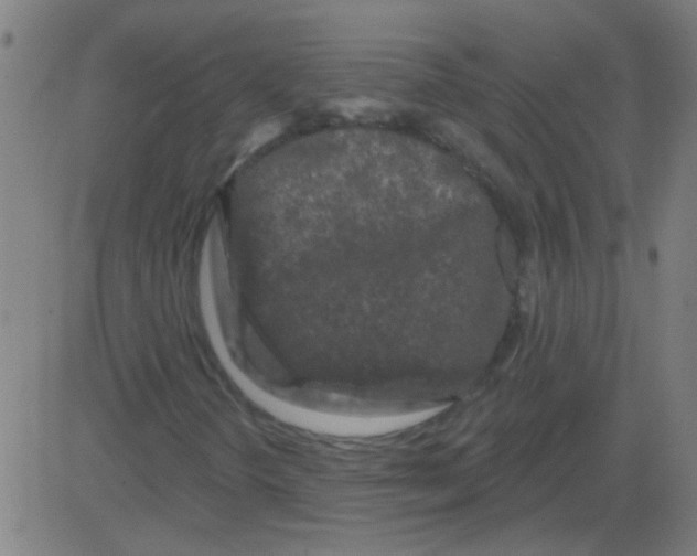 X0000081461298200702092304