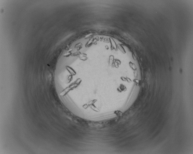 X0000081461302200702092305