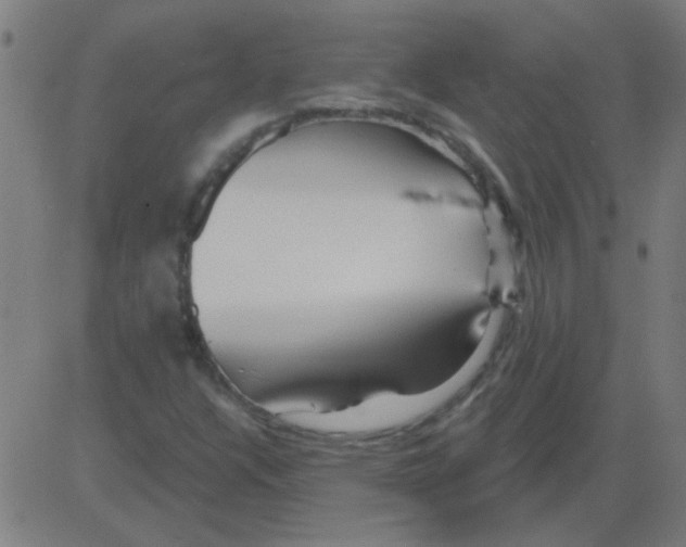 X0000081461304200702092305